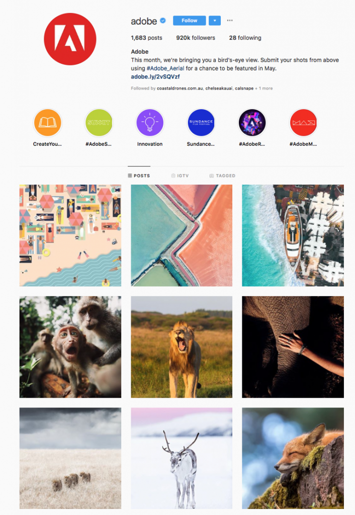 Preview of Adobe's Instagram Grid to demonstrate user-generated content