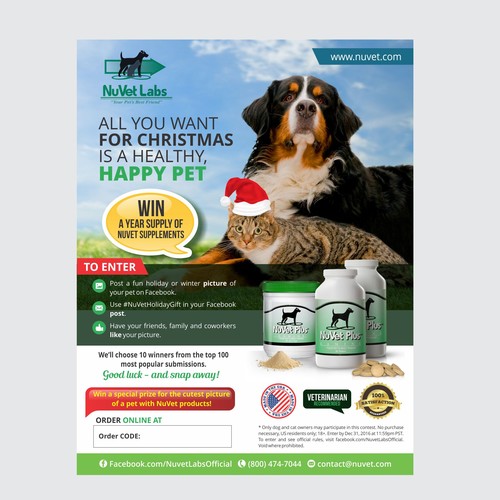 Pet Photo Contest Flyer