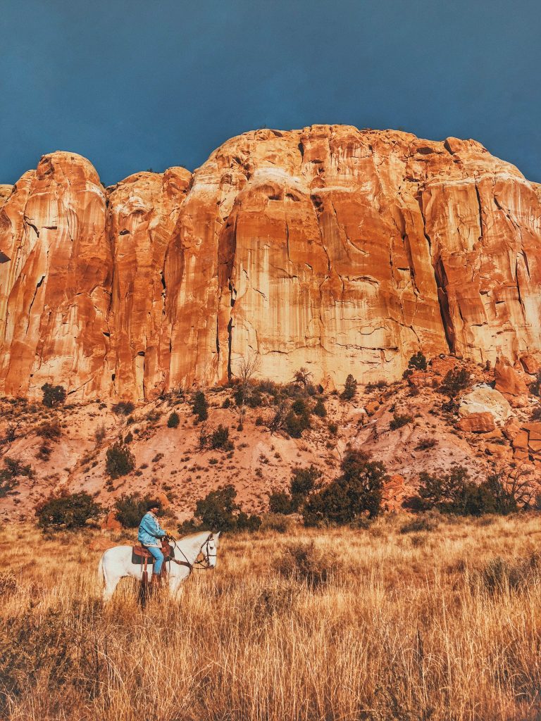 cowboy riding white horse near mountain